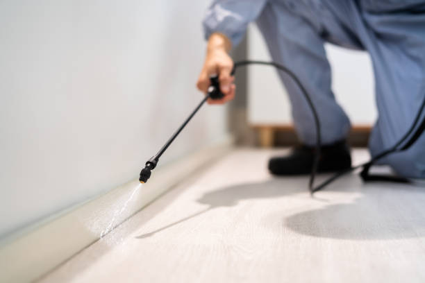 Licensed Ant Control service in Nevada City, CA - Show Me Pest Control