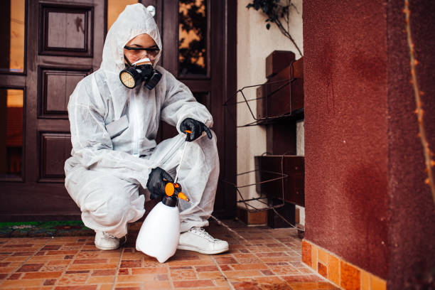 Reliable Ant Control contractor in Nevada City, CA by Show Me Pest Control